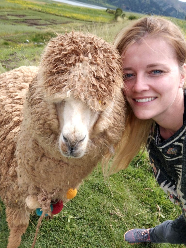 Flashpacking with Alpaca in Peru
