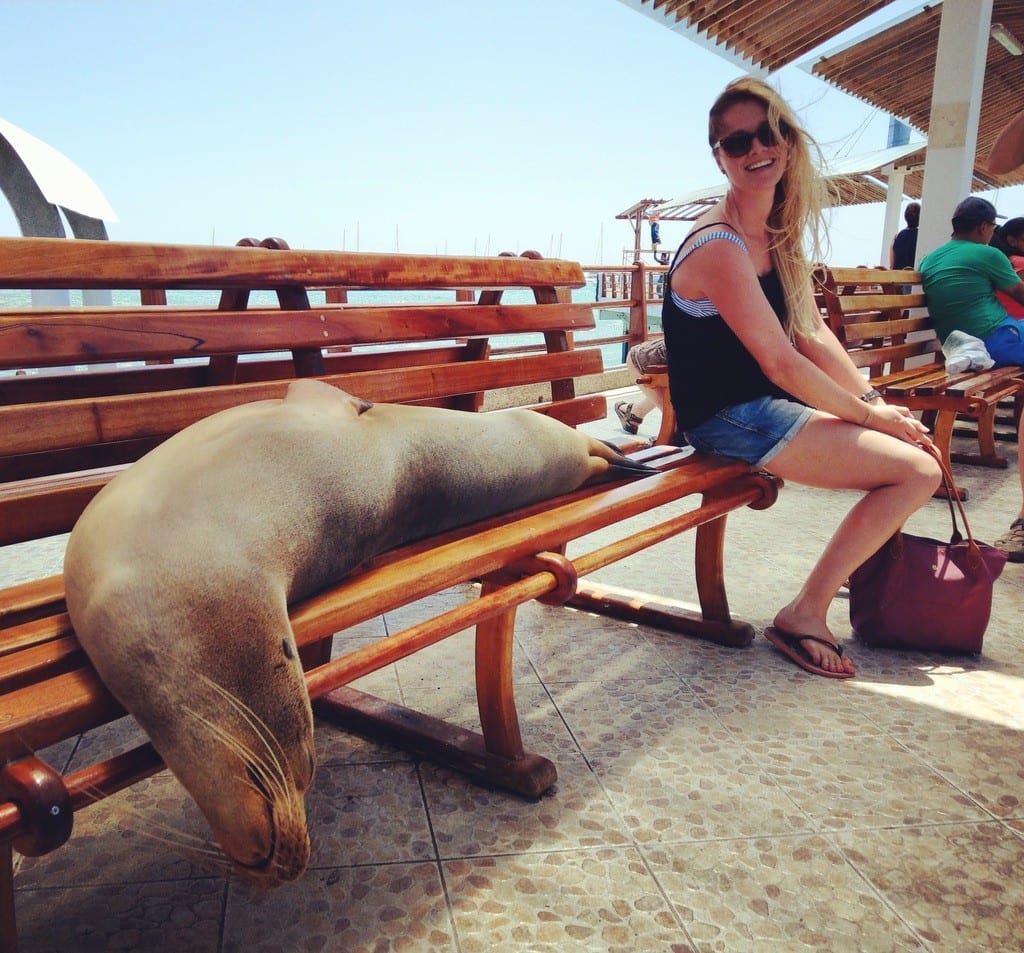 Galapagos Sea Lion Backpacking
