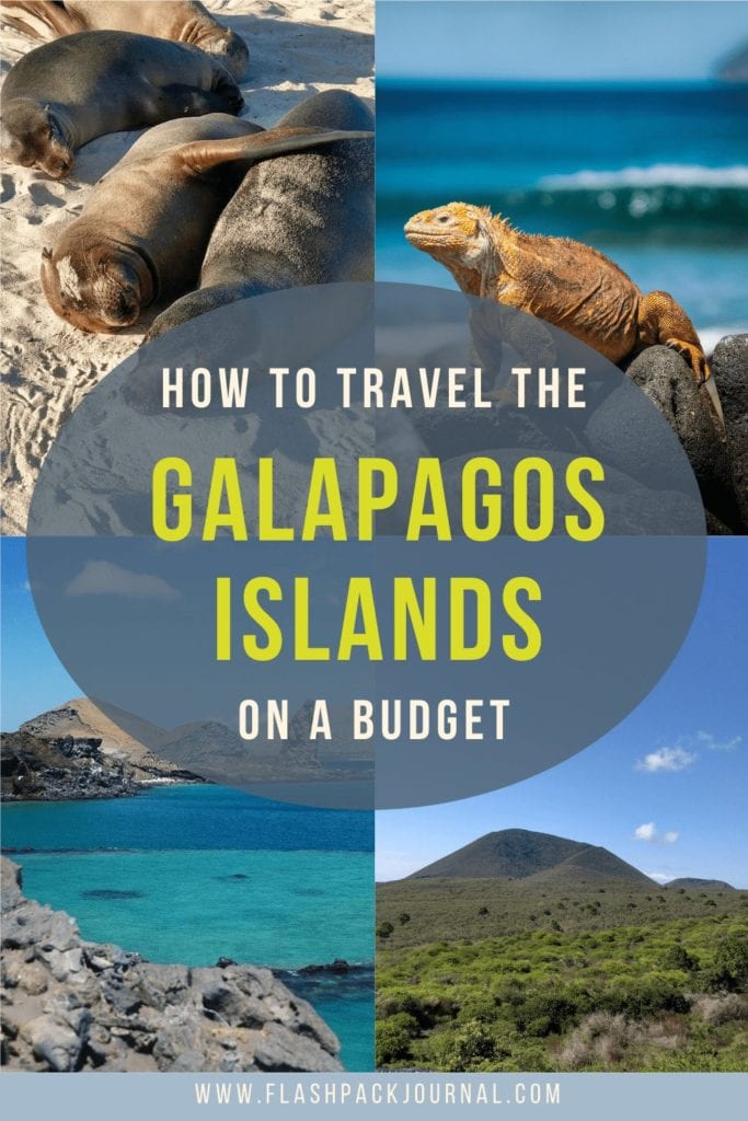 How to travel the Galapagos Islands on a Budget