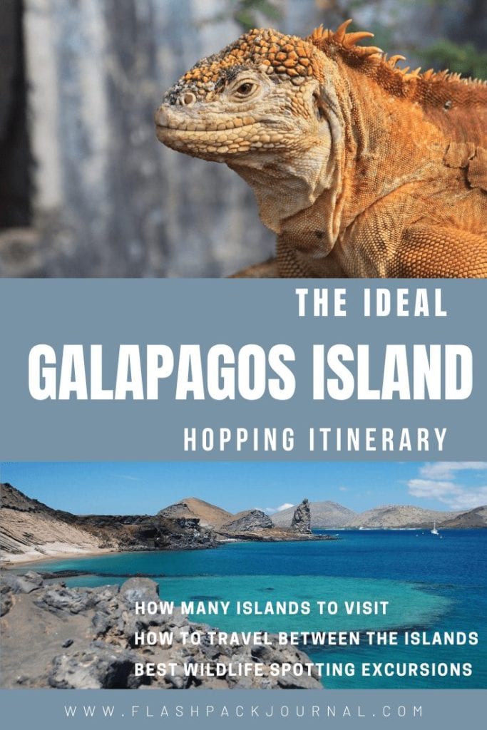 The Ideal Galapagos Island Hopping Itinerary