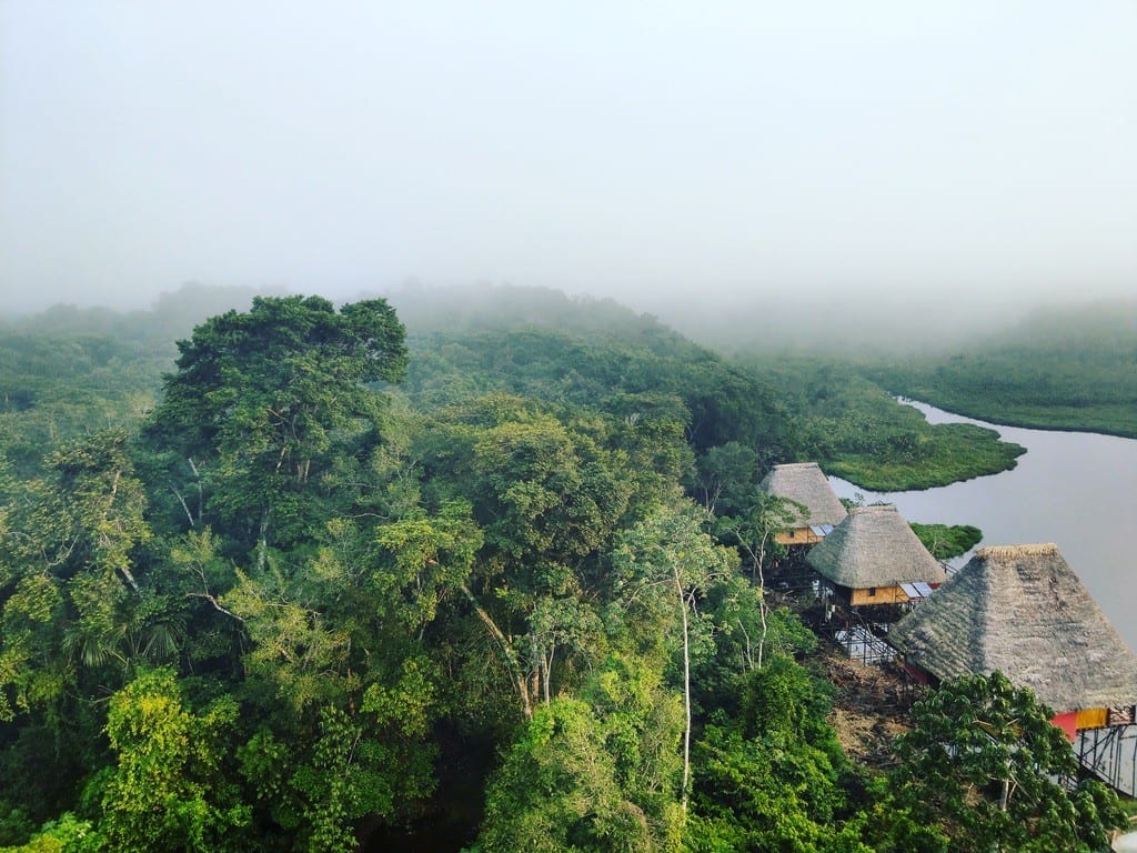 Amazon Lodges: Napo Wildlife Center in Yasuni National Park