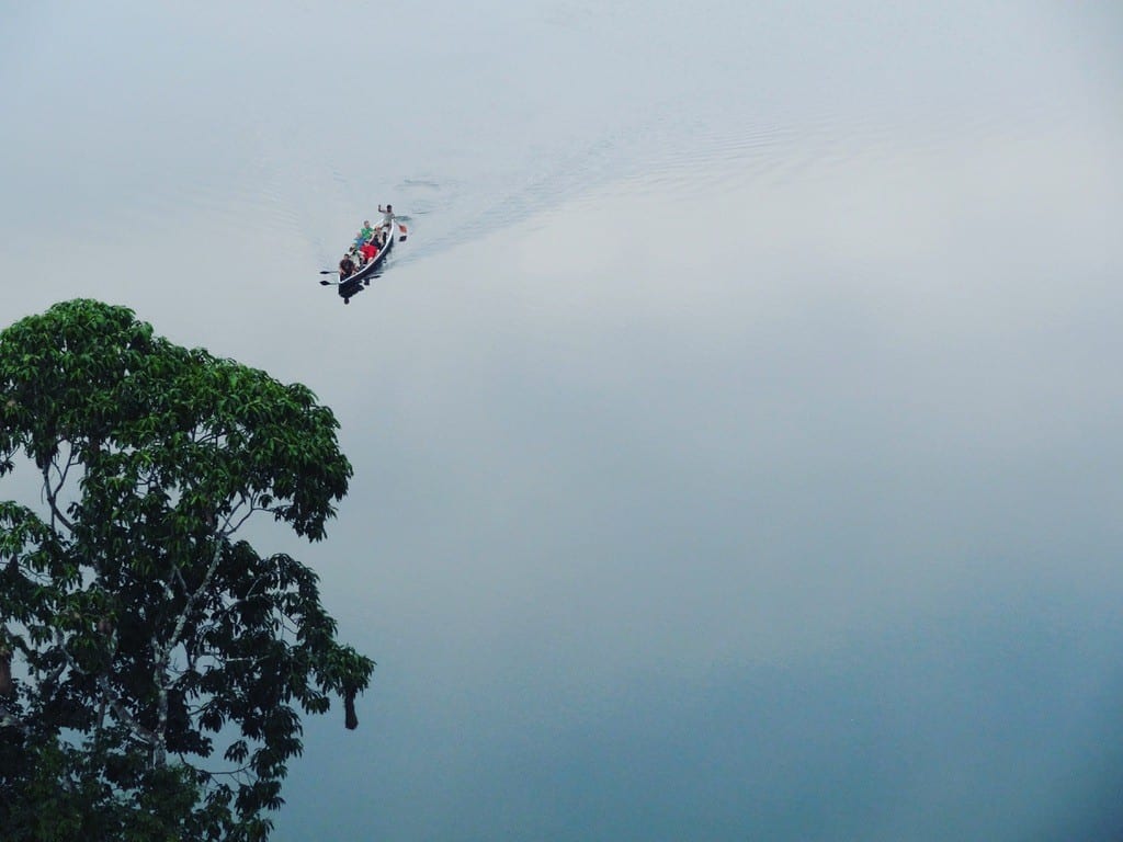 Guide to the Amazon: Canoe to Napo Wildlife Center