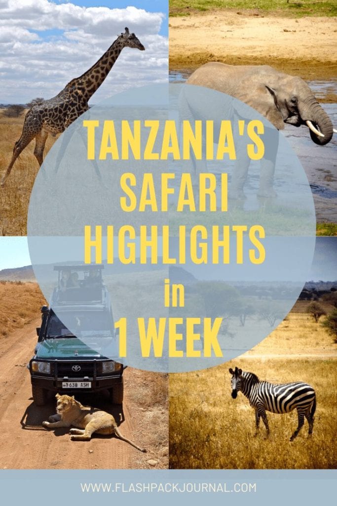 Pinterest Pin Tanzania's safari highlights