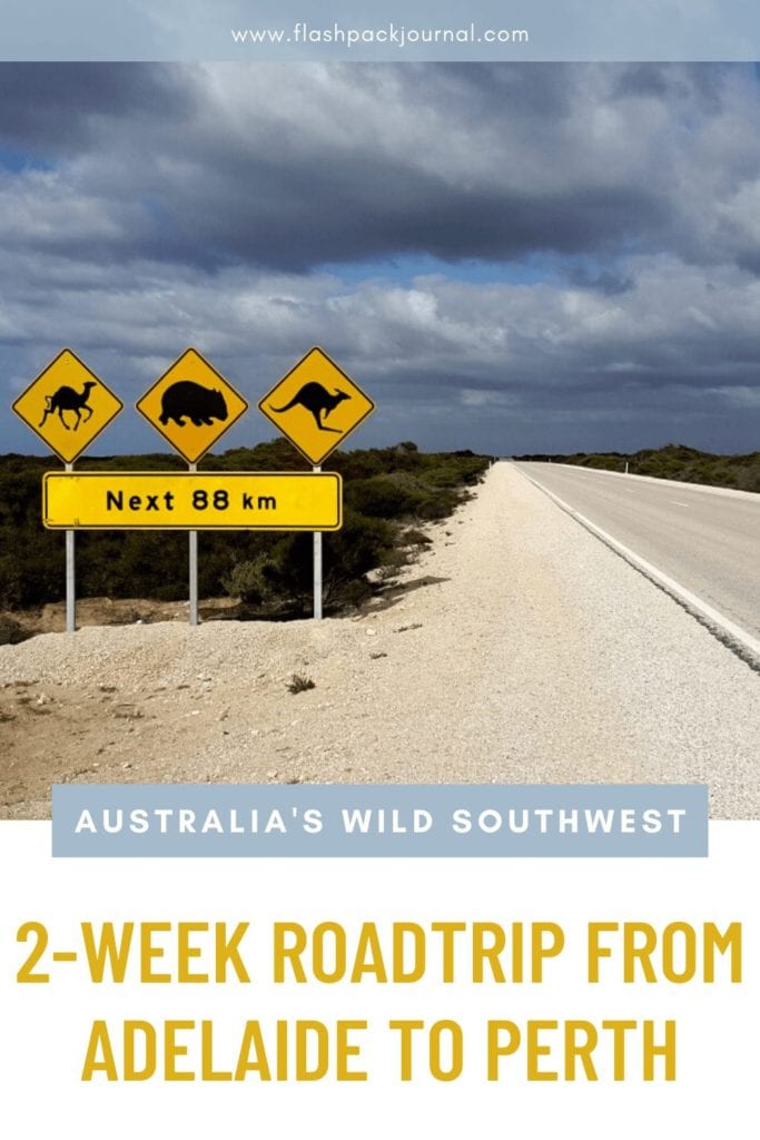 Pinterest pin about road trip across Australia