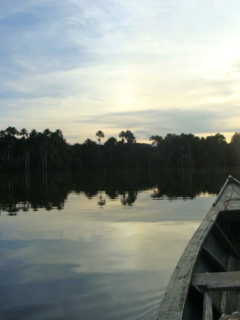 Amazon Lodges around Puerto Maldonado