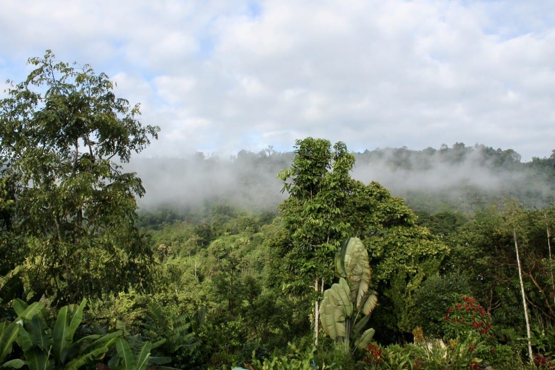 Mindo Cloud Forest Ecuador