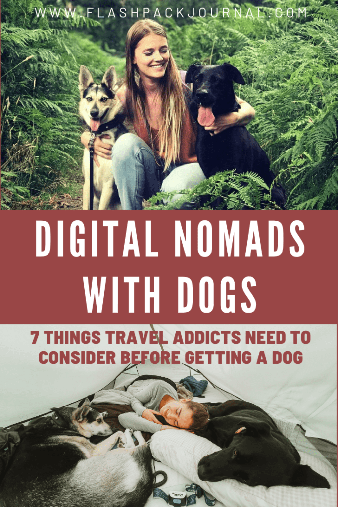 Digital nomads with dogs Pinterest